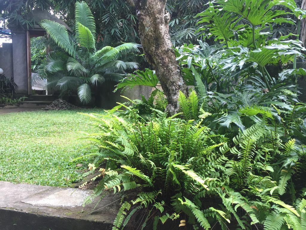Kiyan Teges Ubud Hotell Eksteriør bilde